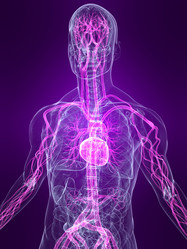 Similar image 8205768