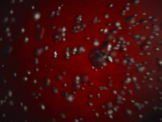 Similar image 8205771