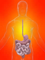 Similar image 8205797