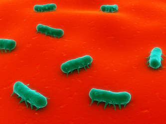 Similar image 8205820