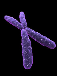 Similar image 8205837