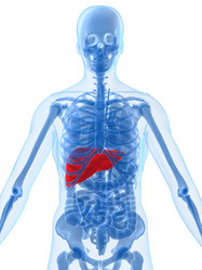 Similar image 8205851