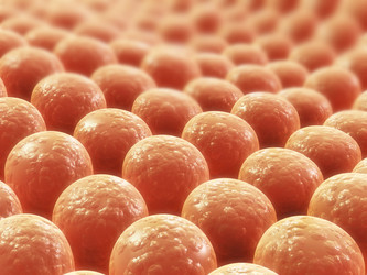 Similar image 8205859