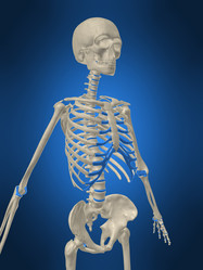 Similar image 8205865