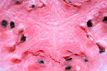 Similar image 8205909