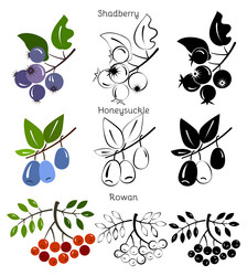 Similar image 8205985