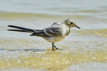 Similar image 8206054