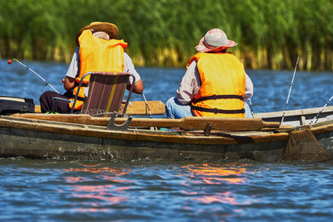 Similar image 8206057