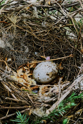 Similar image 8206064