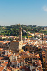 Similar image 8206323