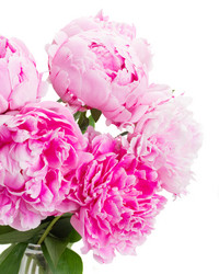 Similar image 8206340