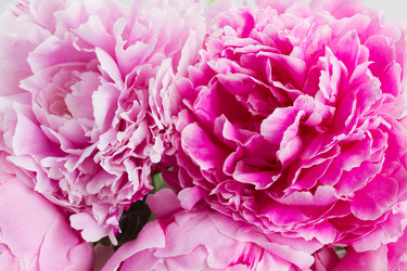 Similar image 8206341