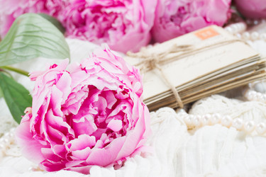 Similar image 8206343