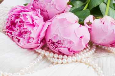 Similar image 8206344