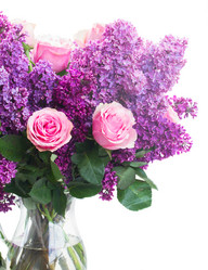 Similar image 8206346