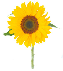 Similar image 8206390