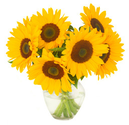 Similar image 8206391