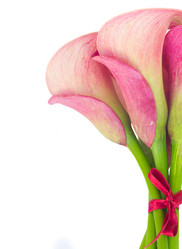 Similar image 8206392