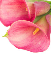 Similar image 8206393