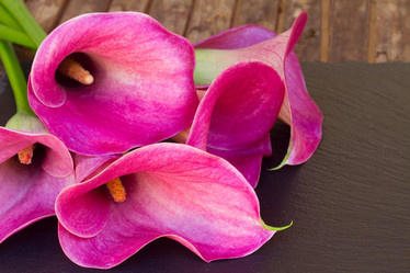 Similar image 8206405