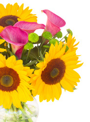 Similar image 8206406