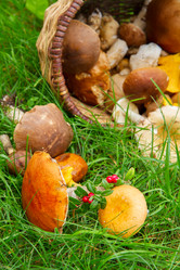 Similar image 8206432