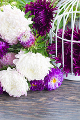 Similar image 8206440