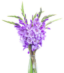 Similar image 8206441