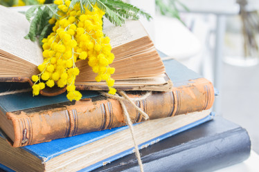 Similar image 8206445