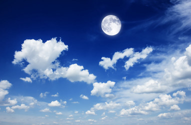 Similar image 8206452