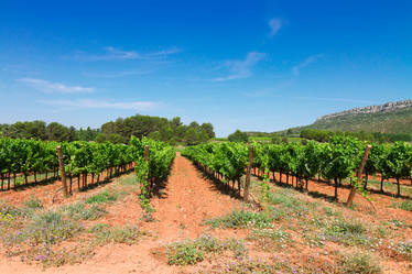 Similar image 8206476