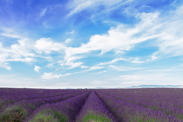 Similar image 8206480