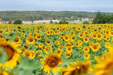 Similar image 8206482