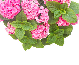 Similar image 8206489