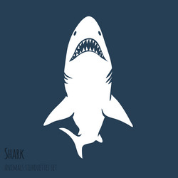 Similar image 8206516