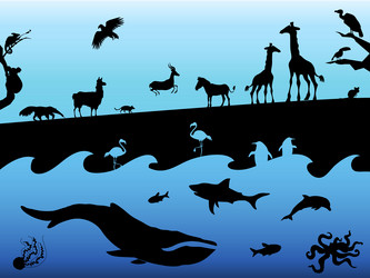 Similar image 8206720