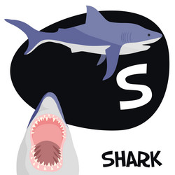 Similar image 8206745