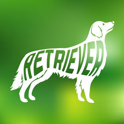 Similar image 8206789