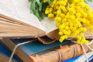 Similar image 8206806