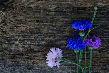 Similar image 8206810