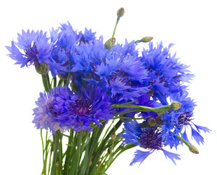 Similar image 8206815