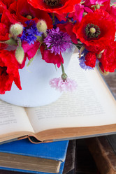 Similar image 8206816