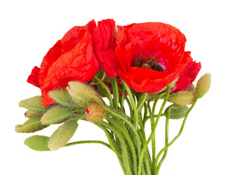 Similar image 8206822