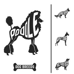 Similar image 8206886