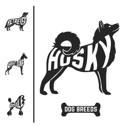 Similar image 8206899