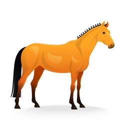 Similar image 8206961