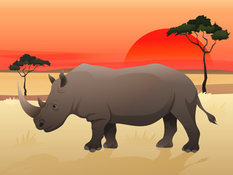 Similar image 8207011