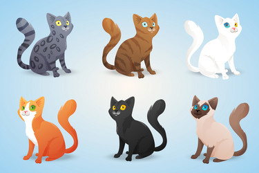 Similar image 8207040