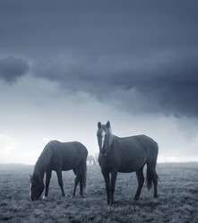 Similar image 8207176