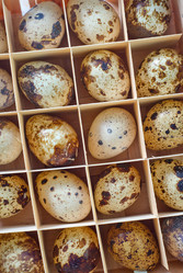 Similar image 8207311